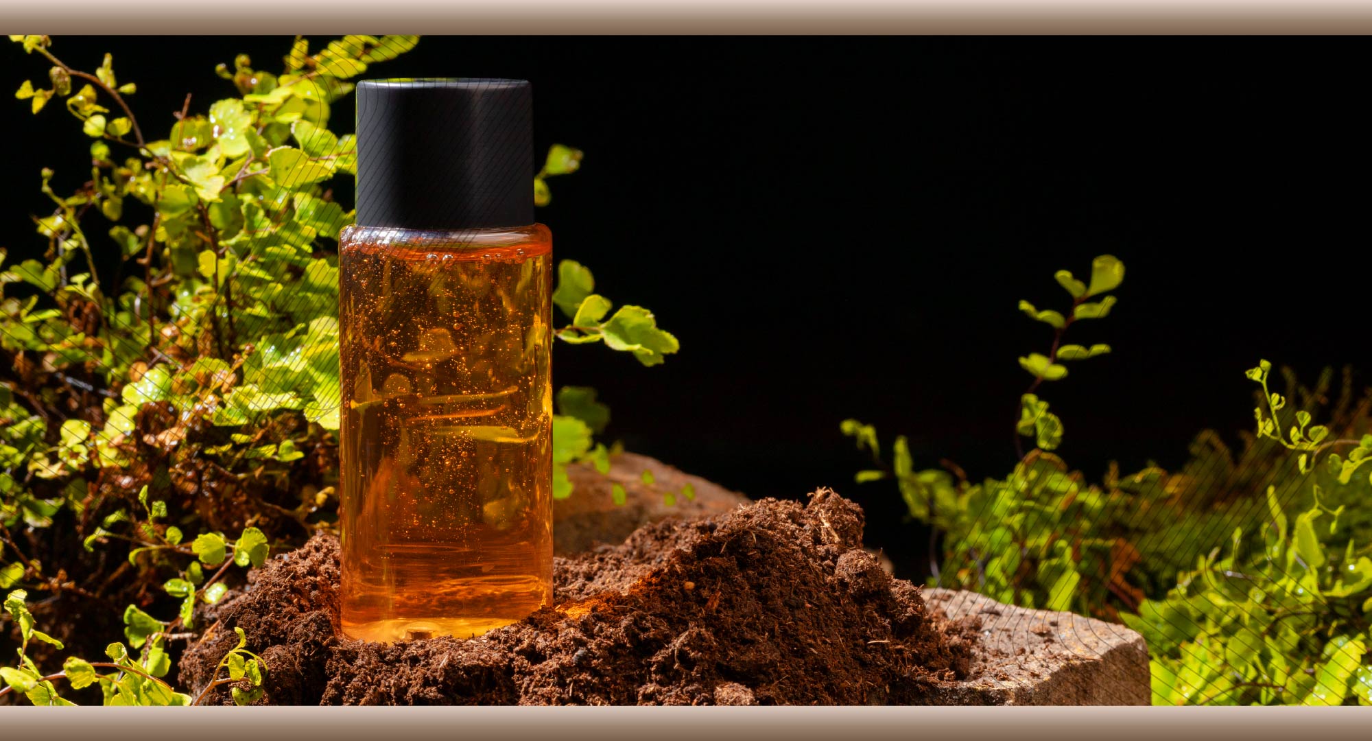 Regulatory Compliance for Custom Perfumes in the UAE