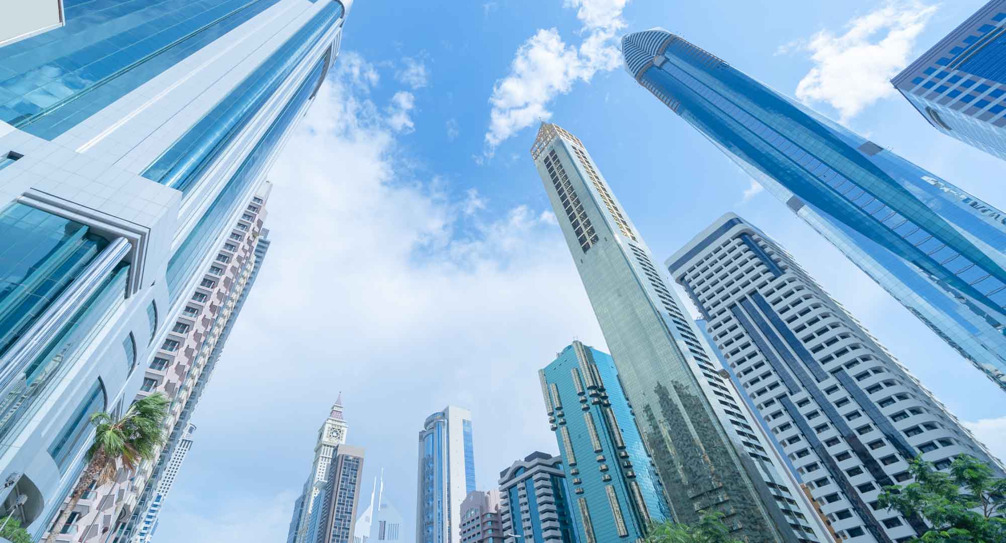 Introduction: White Label vs. Private Label Perfume Manufacturing in the UAE