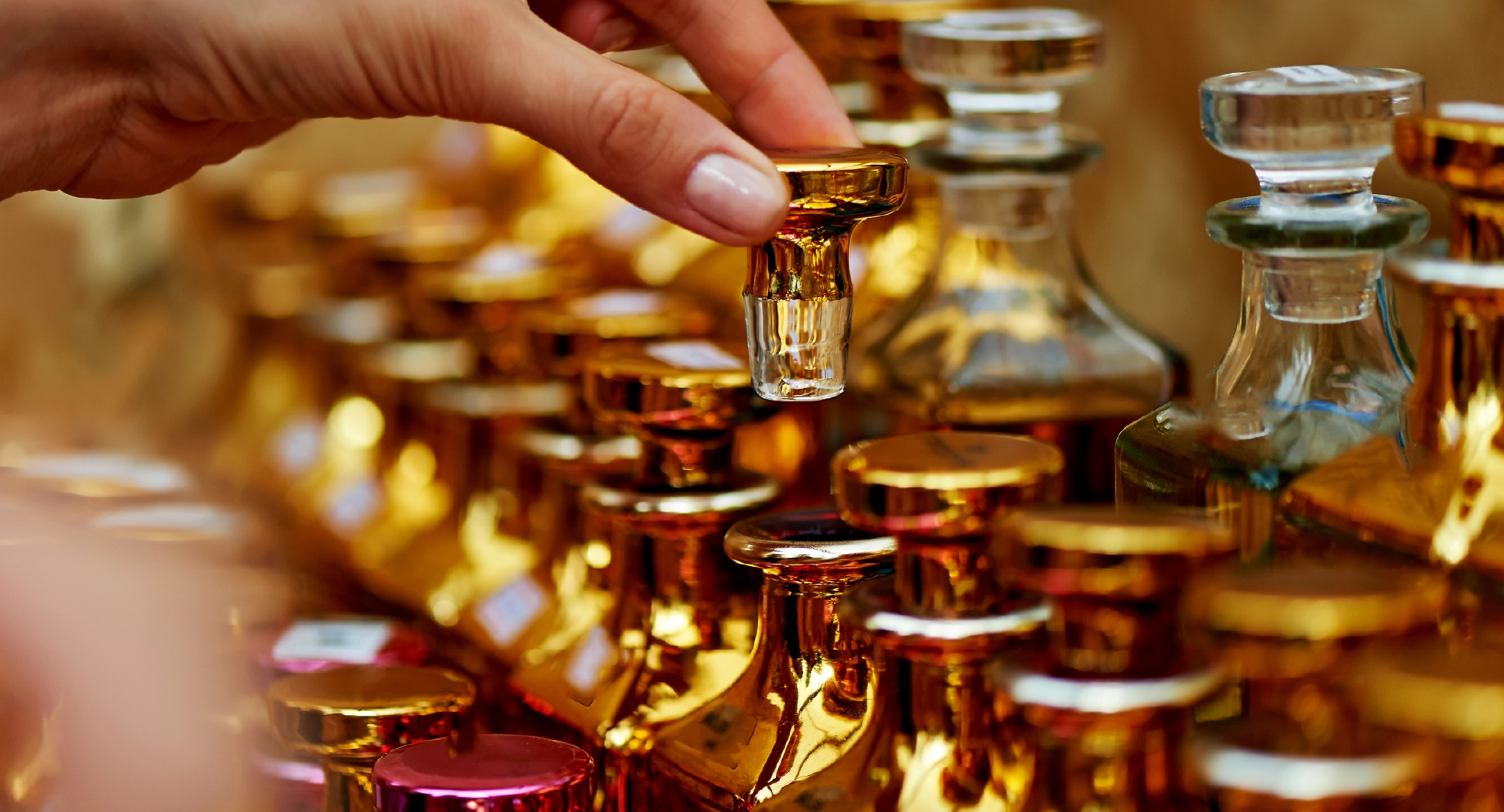 Building Distribution and Retail Relationships from Day One