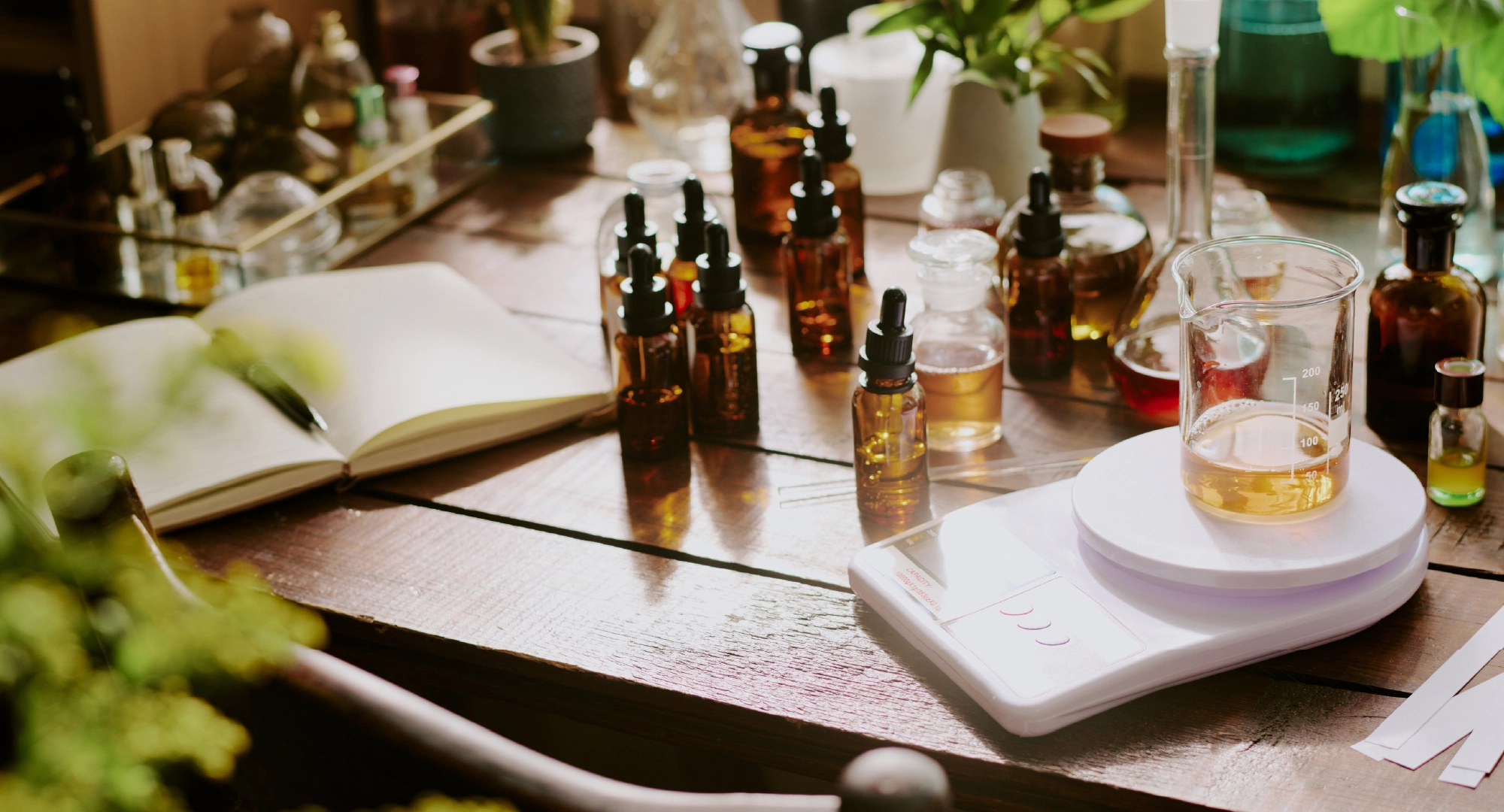 Carton, Box, and Outer Packaging Options