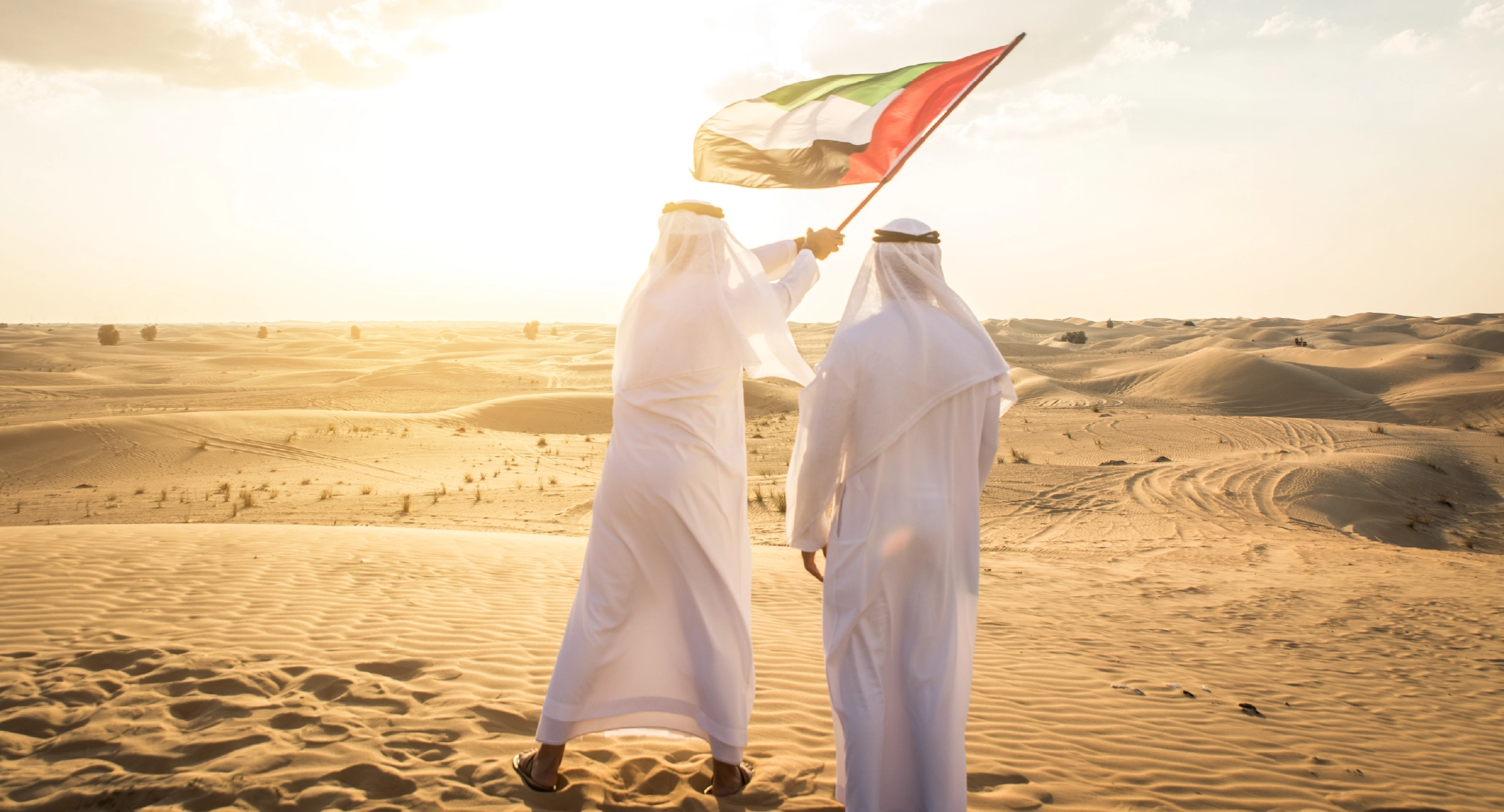 Regulatory Compliance and Labeling Requirements in the UAE