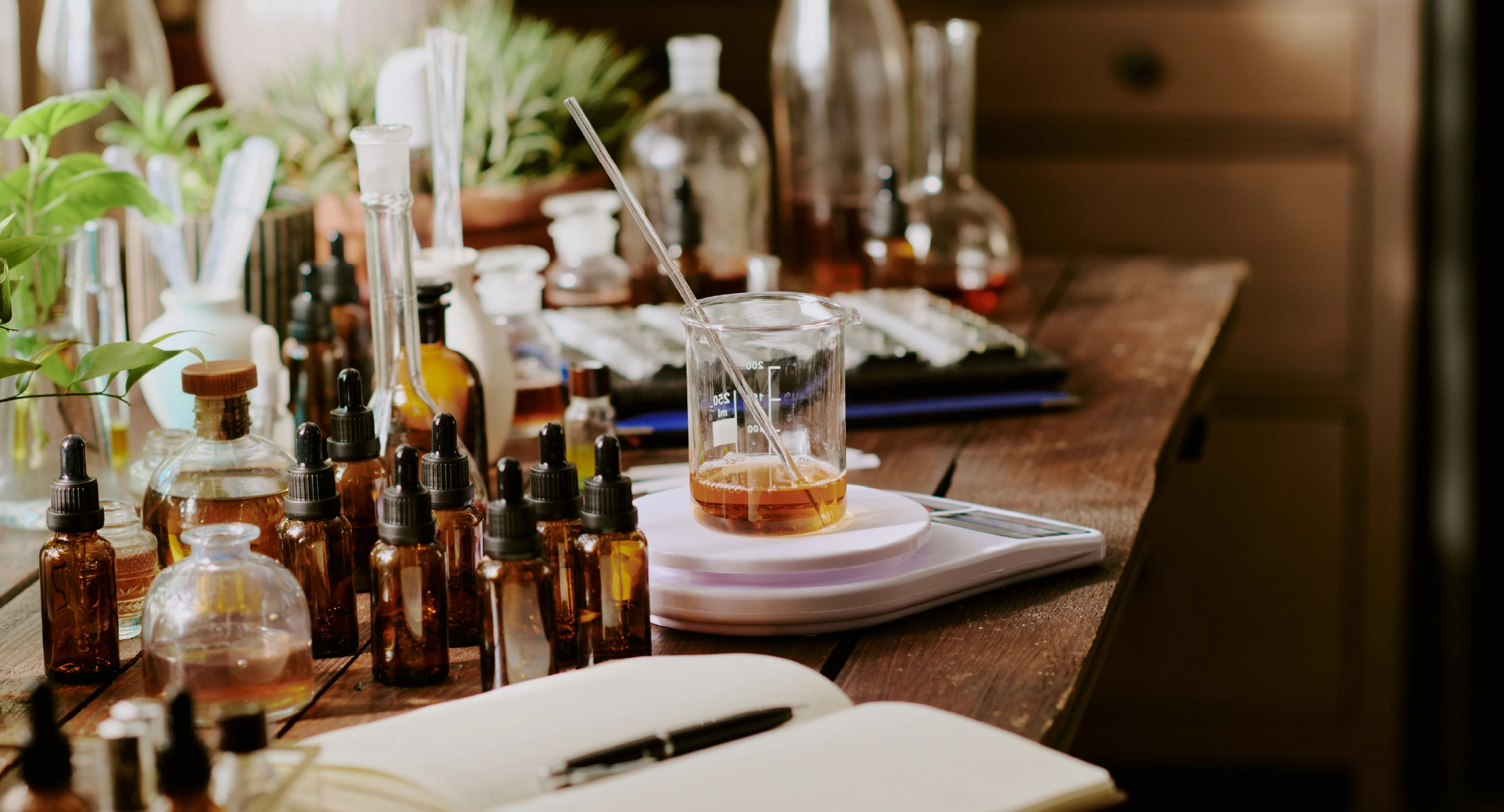 The Hidden Layers of the Perfume Industry That Require Expert Guidance