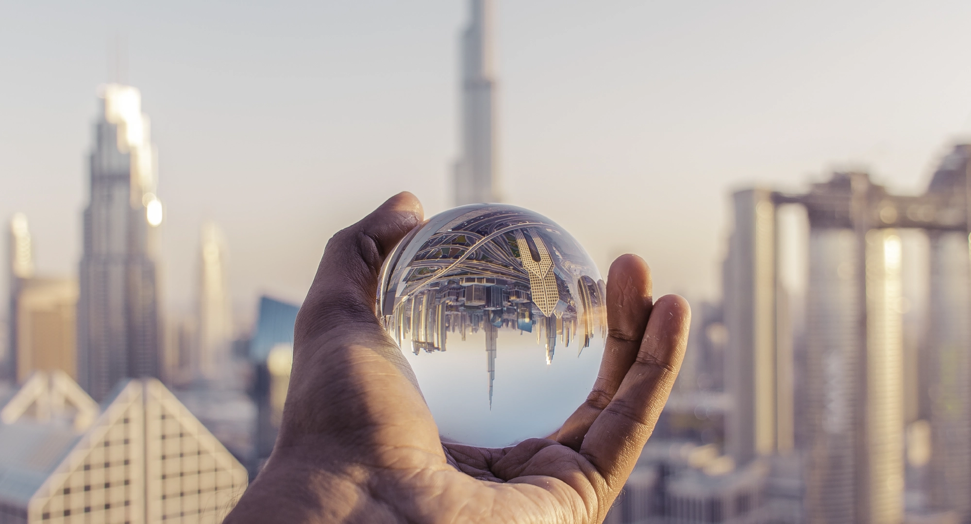 Who Should Consider Expanding Globally from the UAE?