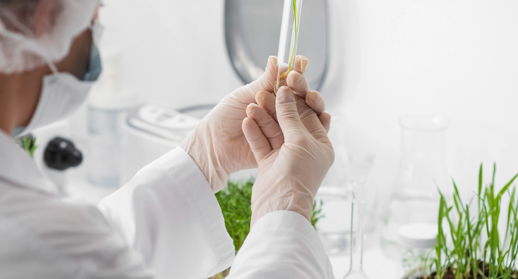 Build a Sustainable Perfume Brand with Supply Chain Integrity