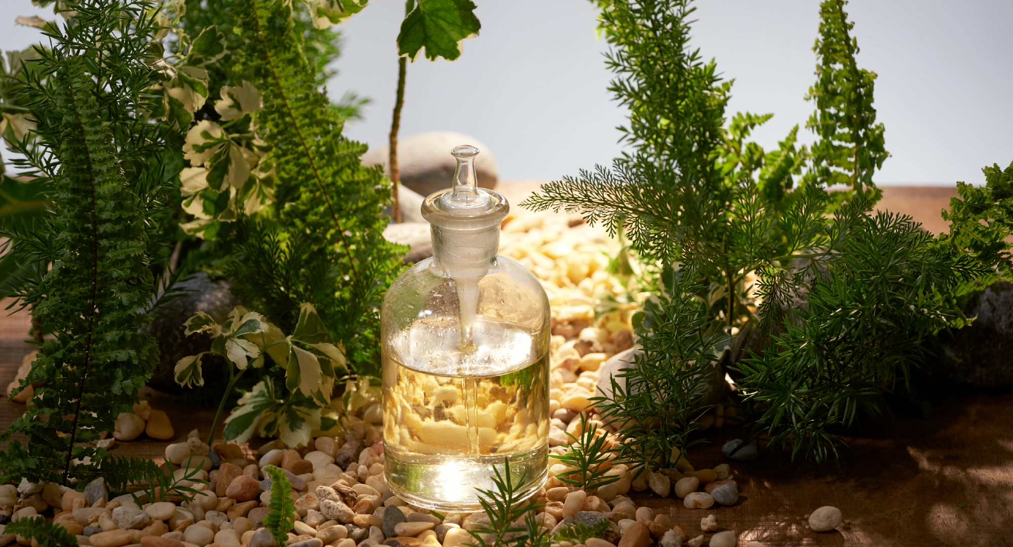 Go-to-Market Identity: Store Presence, E-commerce, and Distribution