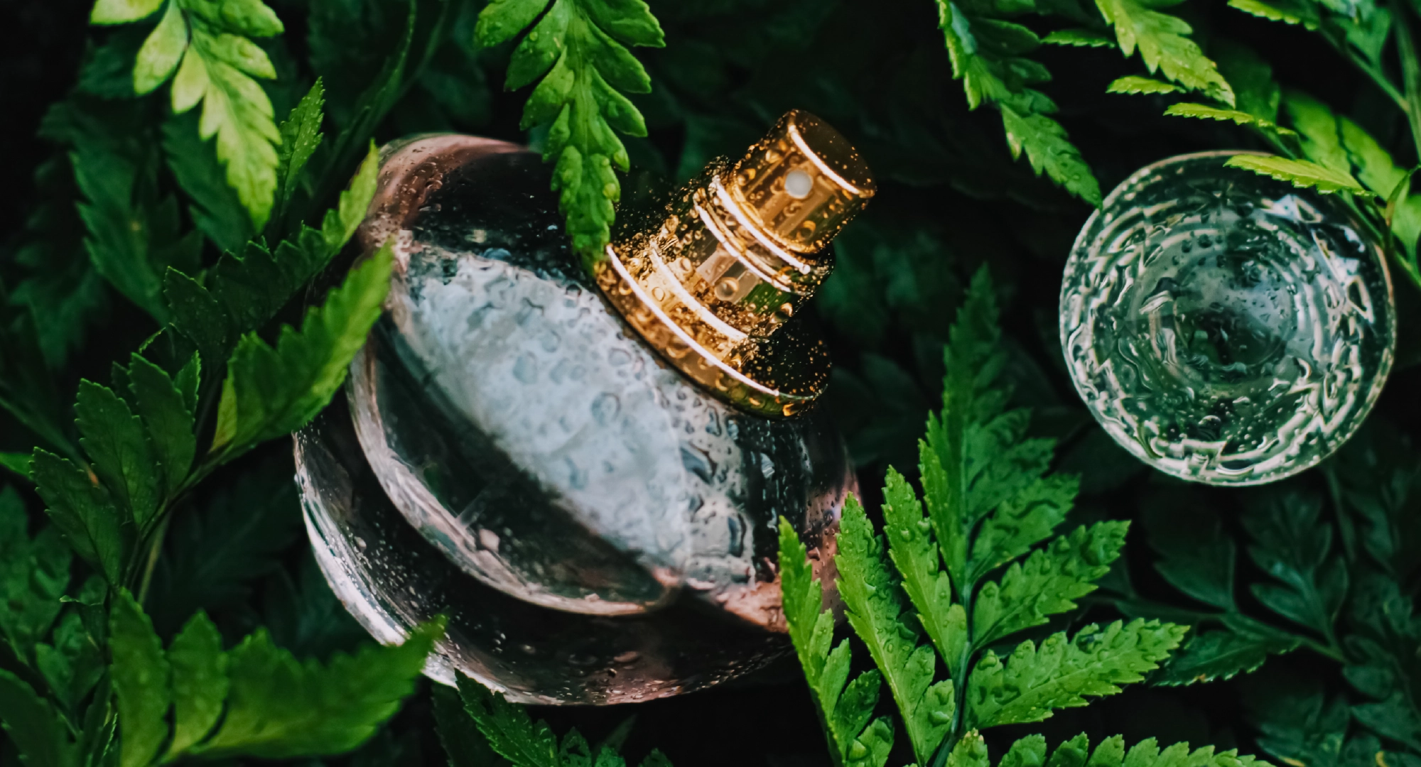 Ingredient Traceability and Documentation for Compliance