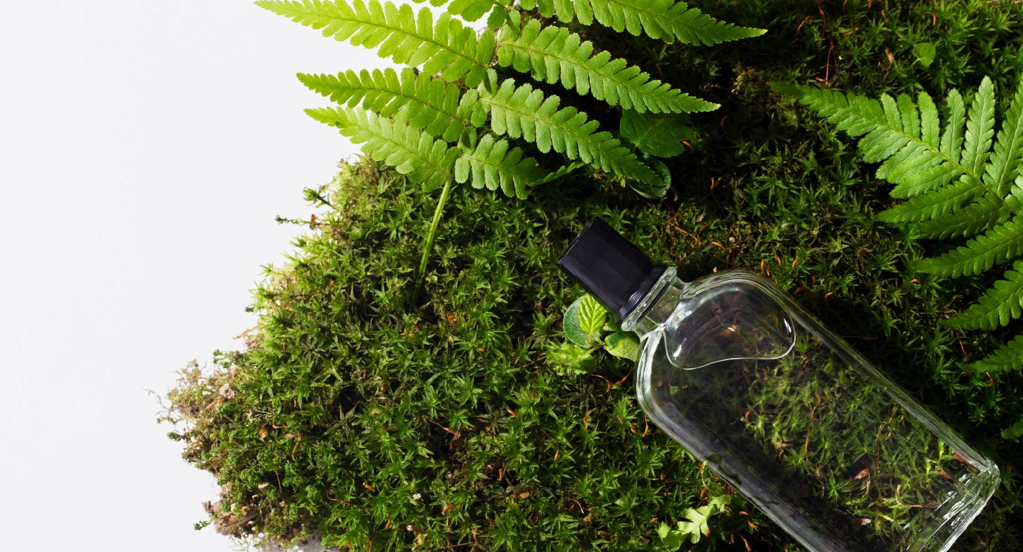 Naming and Brand Voice: Creating a Name that Speaks to Your Market