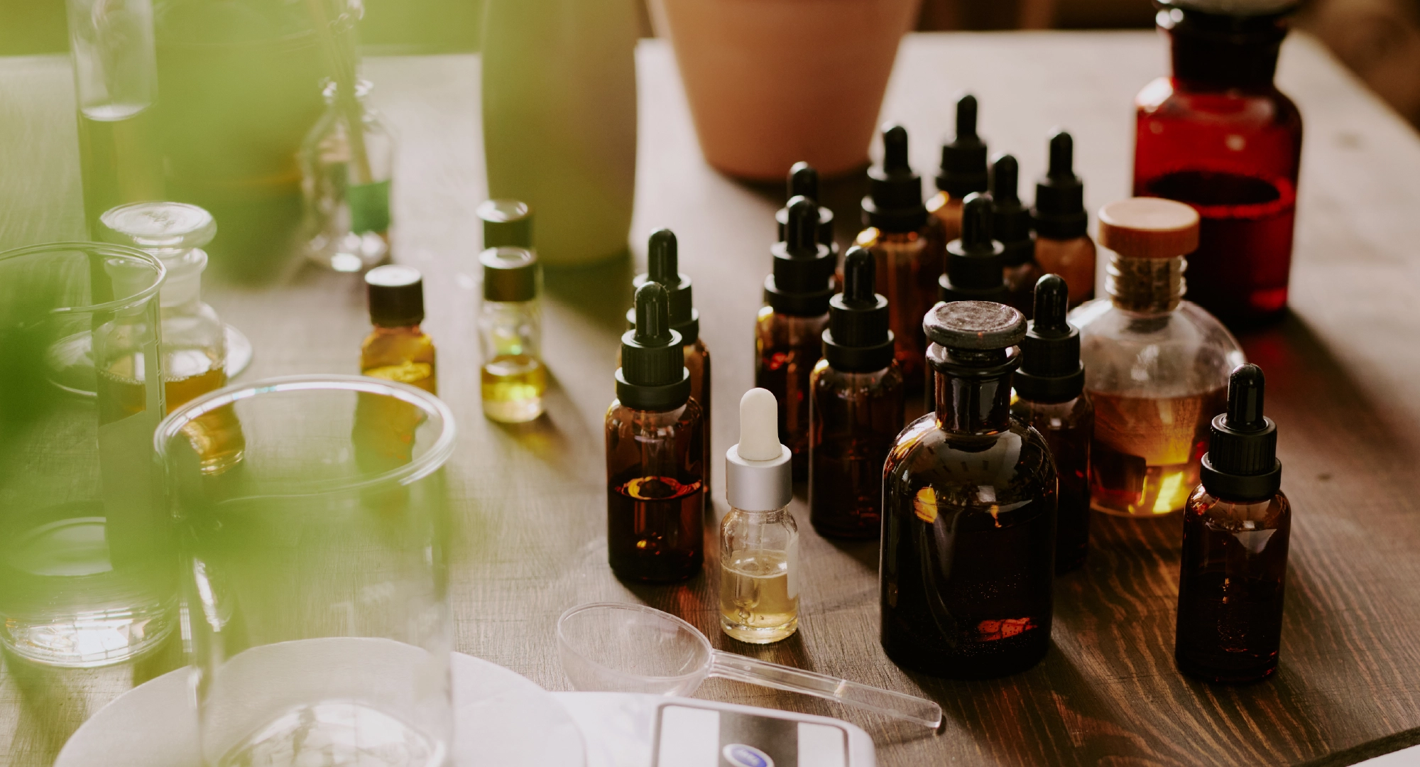 Scaling with Consistency: Identity Guidelines for Growth