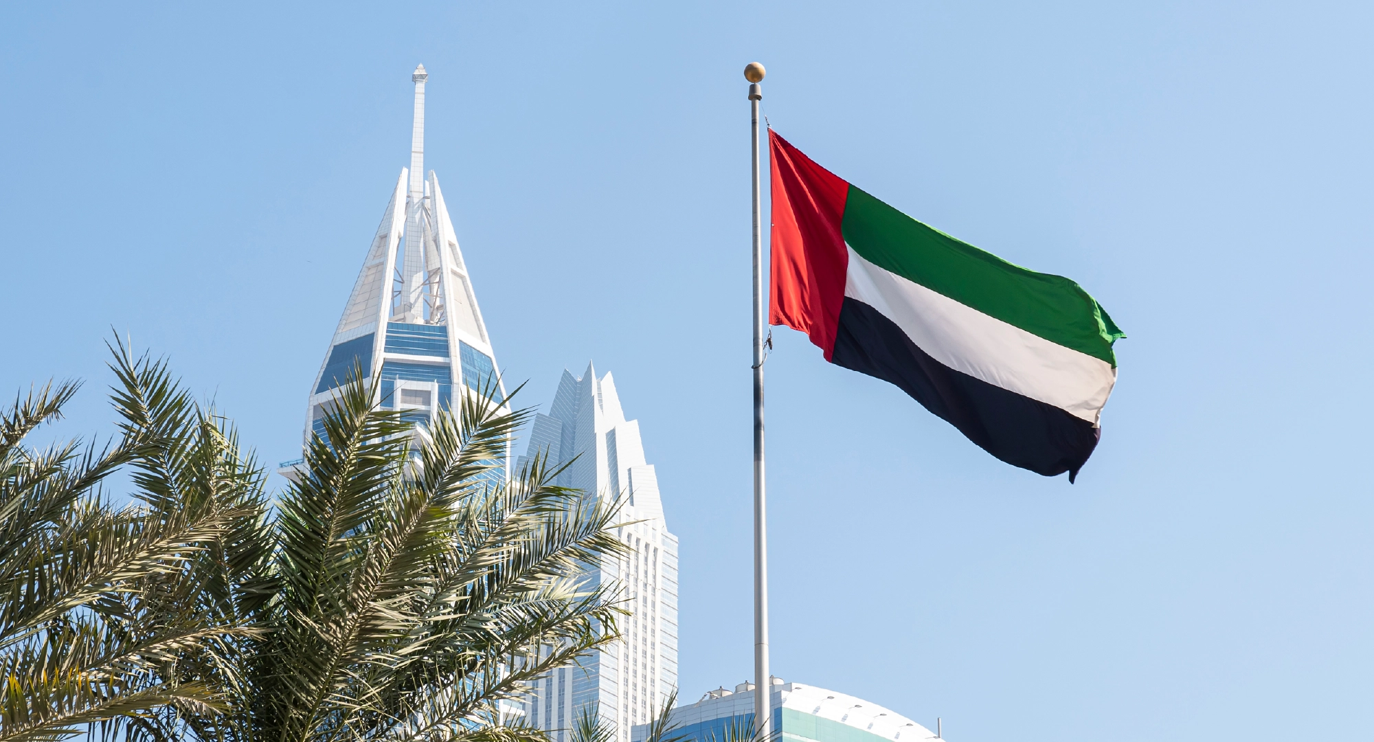 Storage, Shelf Life, and Stability Considerations