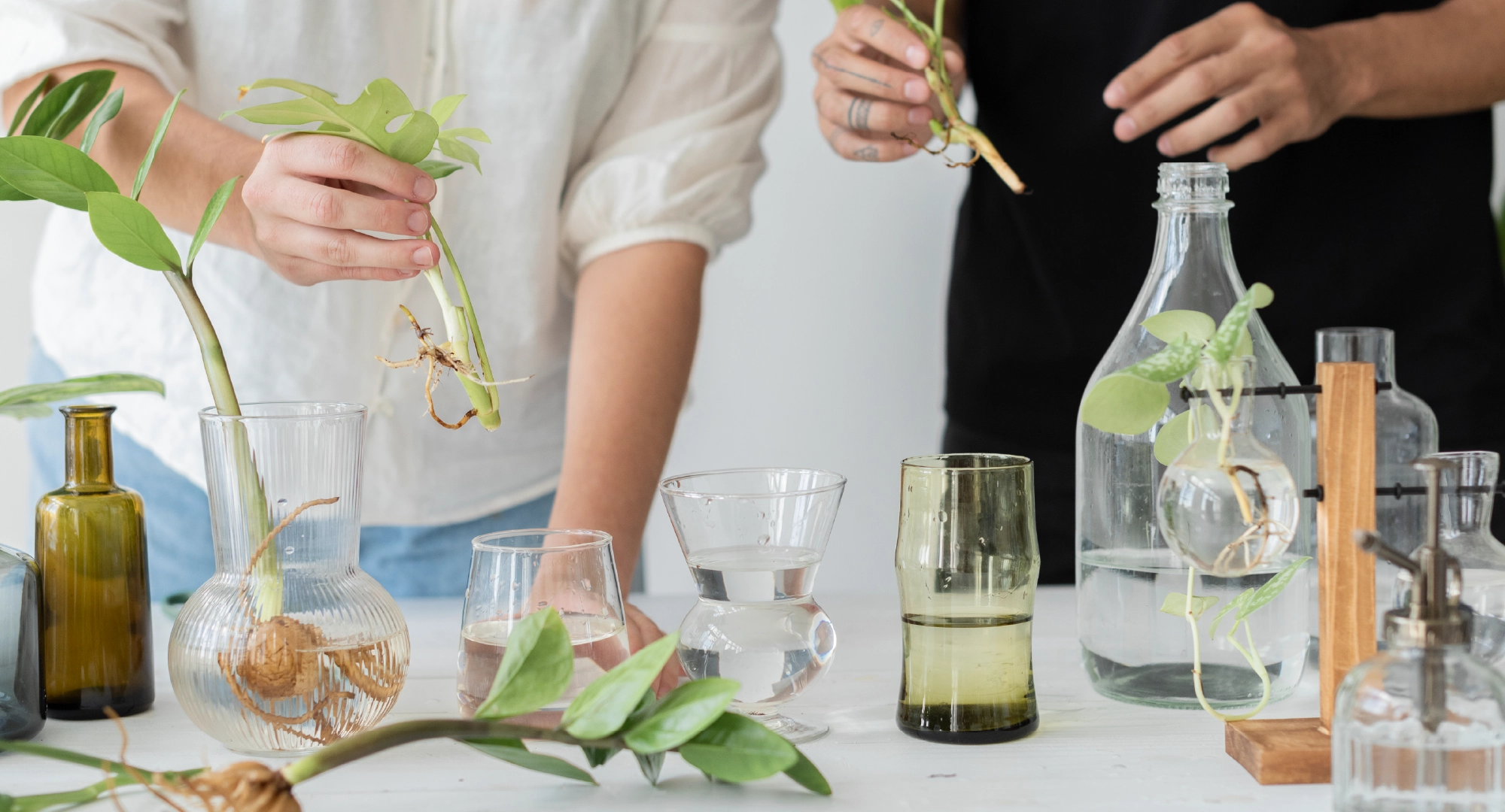 Sustainability in Perfume Manufacturing: Trend or Transformation?