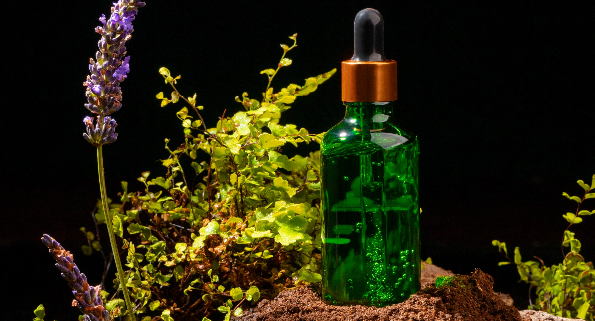 Visual Identity Development: Logo, Color, and Design Systems