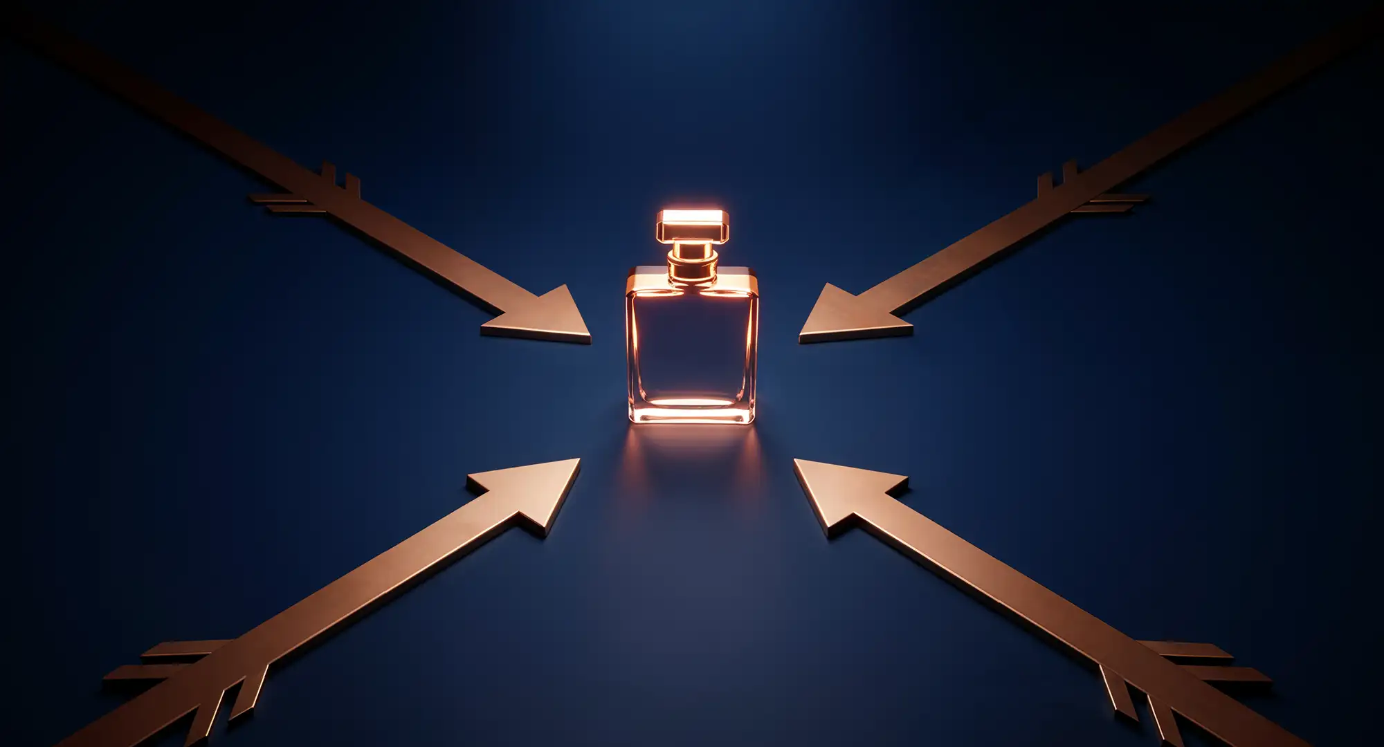 Paths for Different Clients We Serve